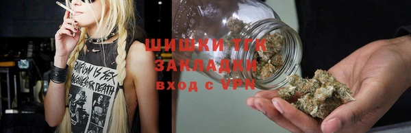 гидра Алексин